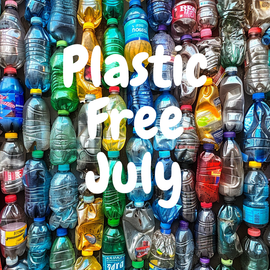 Plastic-Free July: Be part of a plastic pollution solution